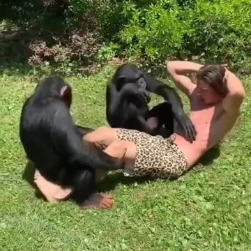 Episode #37 Two Monkeys Train Man Fitnes Viral Video