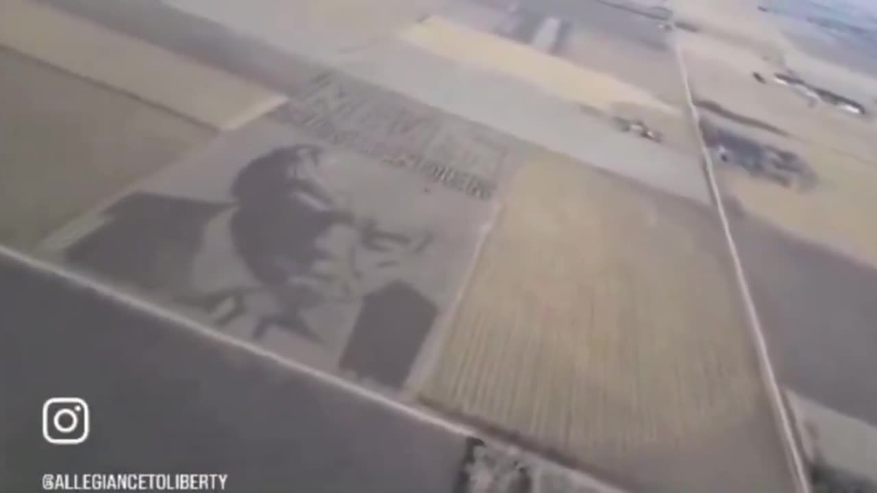 A farmer in Nebraska has made the largest ever portrait of Trumps infamous mugshot