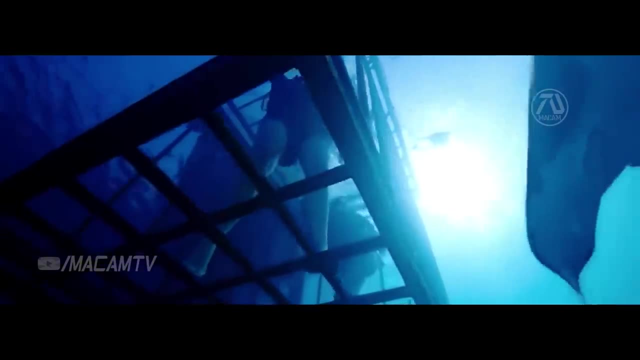 The Meg 2: The Trench 2023