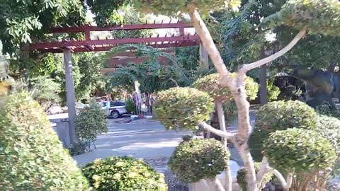 Beautiful Scenery Near The Immigration | Singburi Thailand