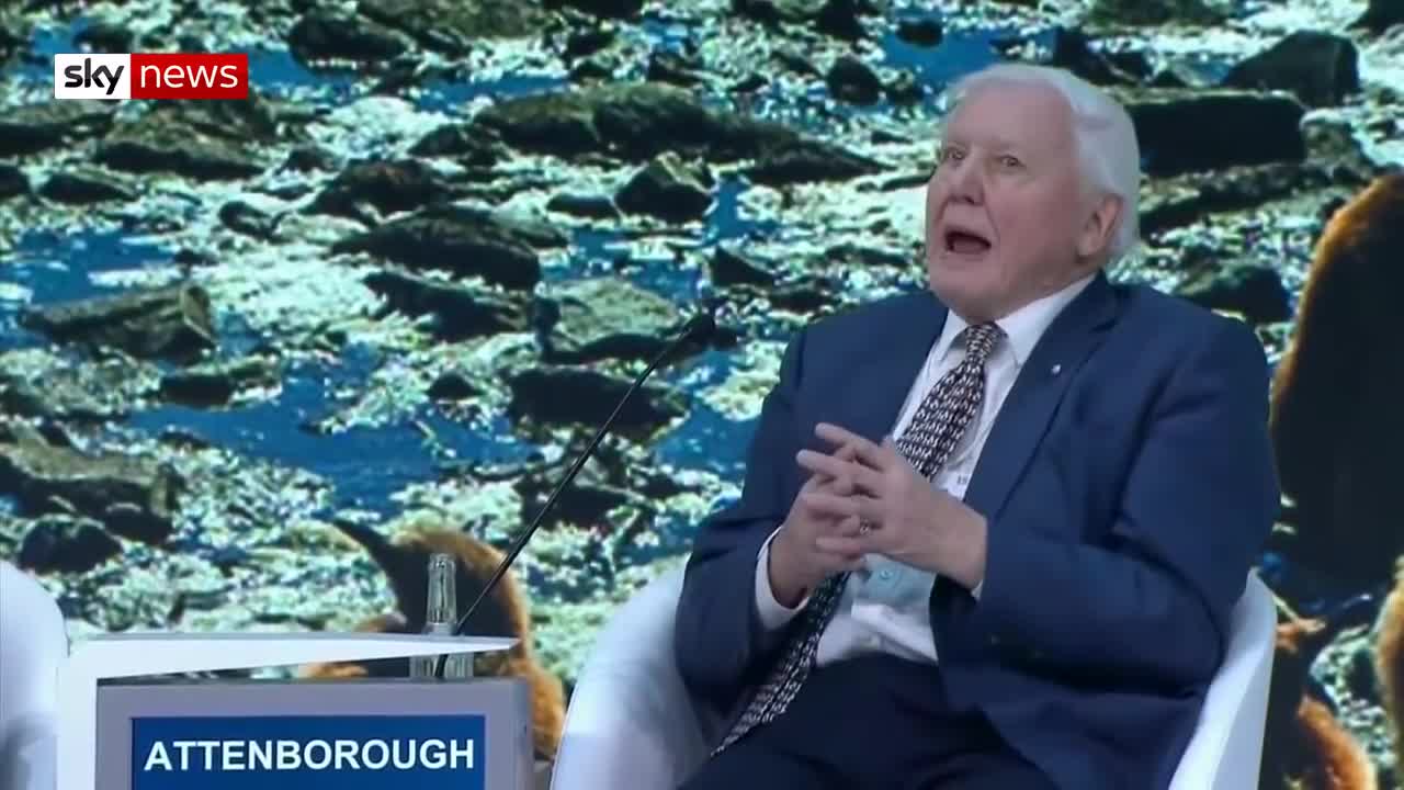 Prince William and Sir David Attenborough warn that humans 'need to be careful'