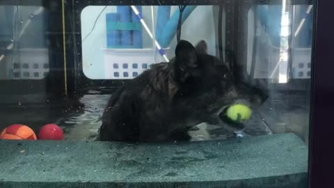Fiona underwater therapy