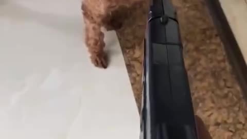don't move or you have to be careful
