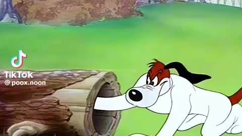 Tomadjerry commedy seen