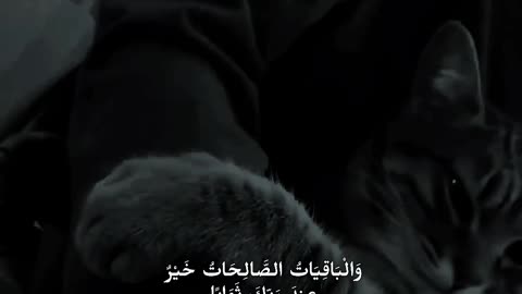 Quran Recitation ""