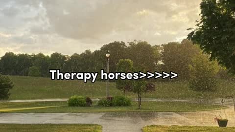 27_illouttheoverlaycreditsinthecomments#CapCut#horsesoftiktok#blowthisup#edits#horses#xyzbca#coolhor