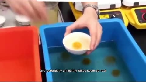 Fake Eggs from China already in the market