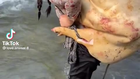 Lady carrying big Pick