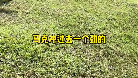 Take mark to the pastureBig monster # trill