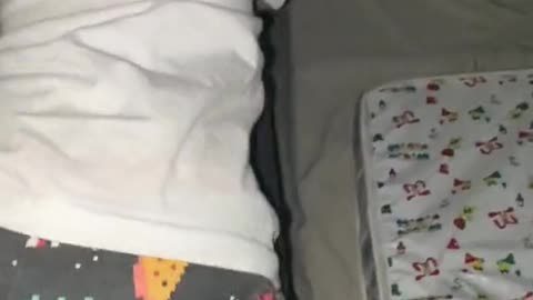 🤡