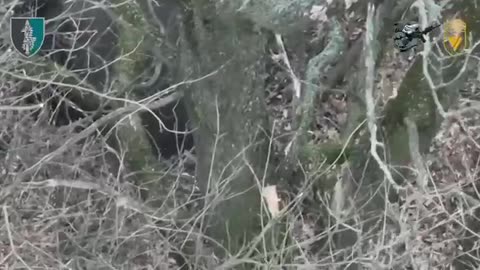 17 Russian Marines Are Demobilized and Another 13 Surrender During Incredible Raid in Kursk