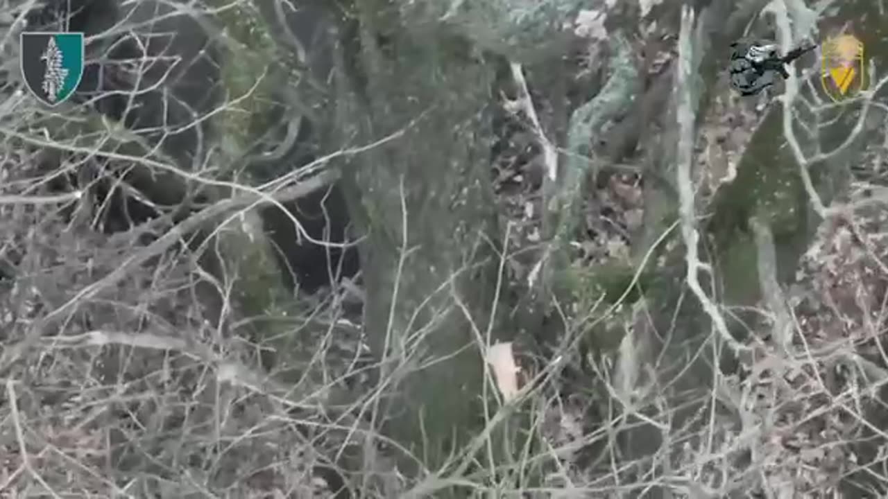 17 Russian Marines Are Demobilized and Another 13 Surrender During Incredible Raid in Kursk