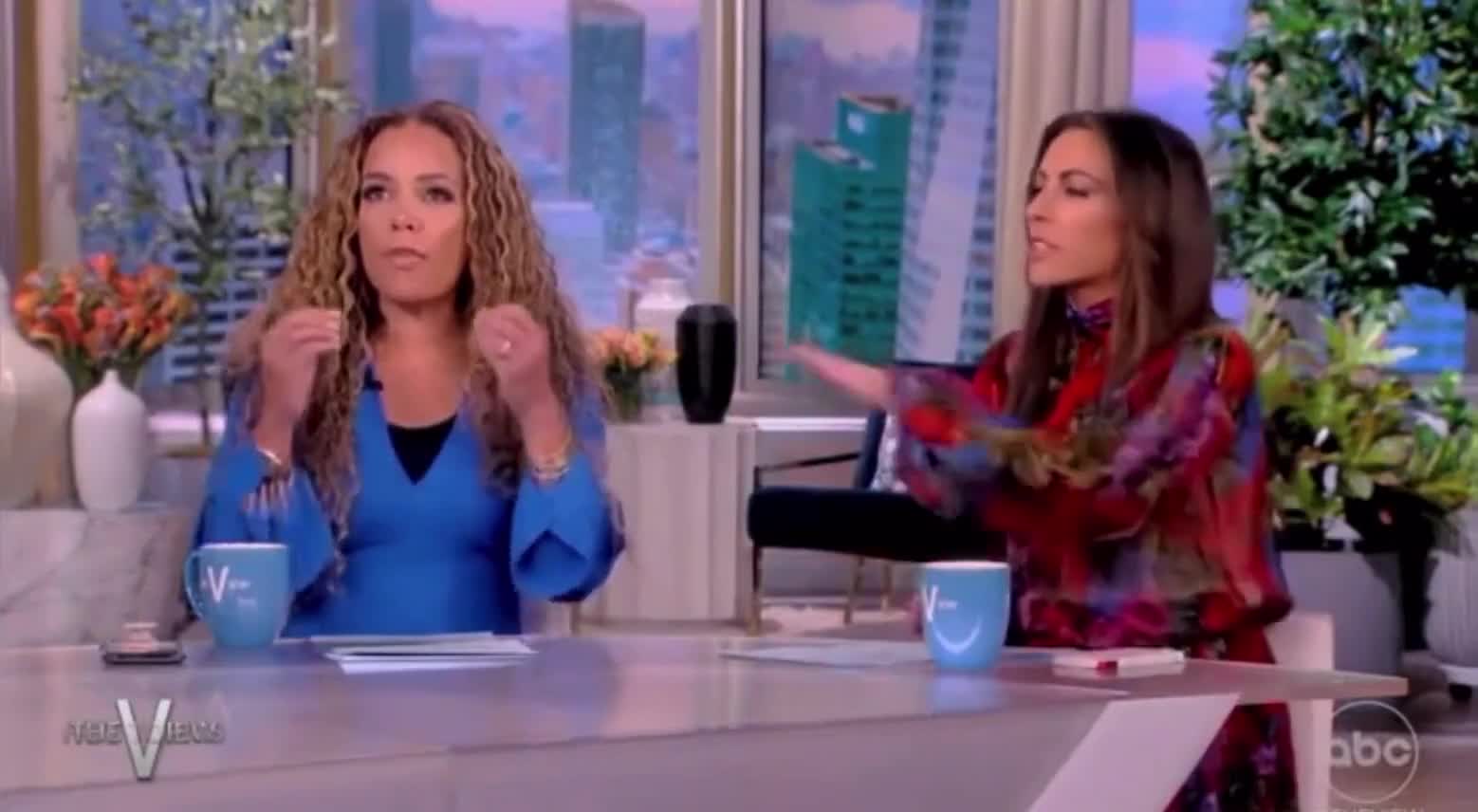 The View Hosts Compare 'Women Voting Republican' to 'Roaches Voting for RAID'