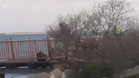 A Travel to Outer Harbour Adelaide South Australia