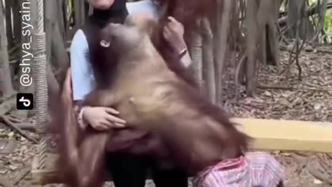 She was not ready 😂😂😂 funny viral shorts funnyvideos trustedhumor