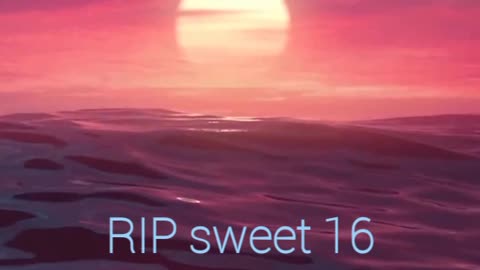 Lizabeth Medina 16 year old girl murdered on December 5th 2023, killer still at large