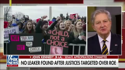 Sen. Kennedy to SCOTUS Leaker- "Congratulations BUTTHEAD"