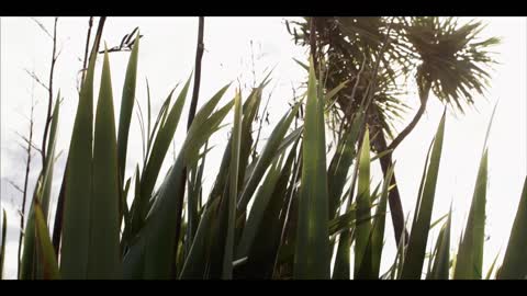 New Zealand in 4K (Ultra HD)