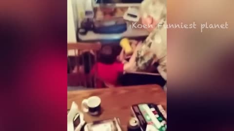 Funniest Dogs And Cats Videos Best Funny Animals Videos 2023 #6