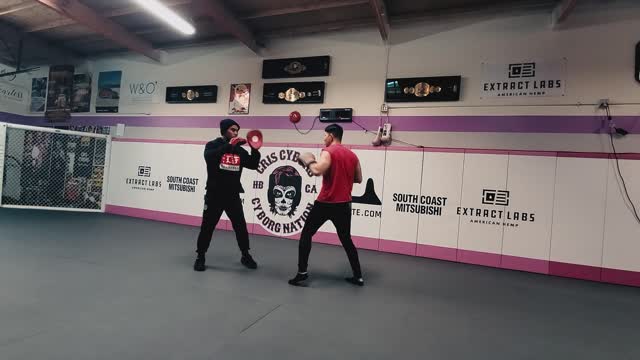 Mitt Work - Boxing on the Weekends