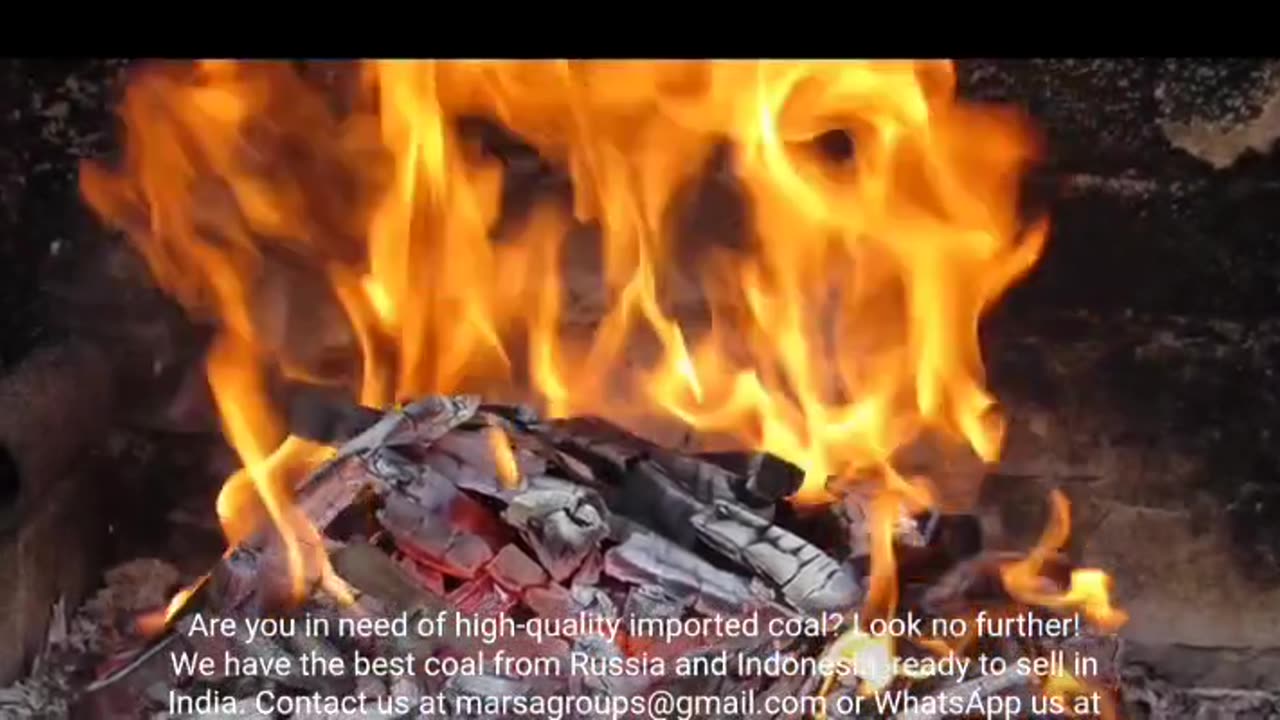 High quality coal export import information
