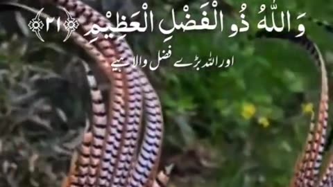 The Holy Quran