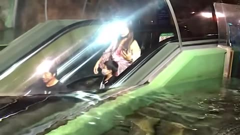 This underwater experience is surreal!.hd