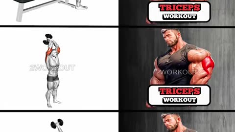 Triceps Workout Routine #2workout #workout #triceps #tricepsworkout #tricepsdayworkout