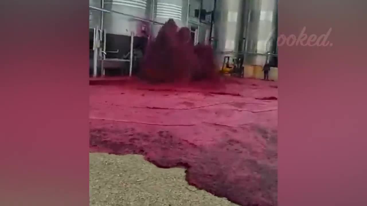 Funny Videos 2022 | Try to not AW EXPENSIVE FAILS