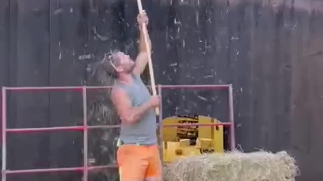 Reserves of hay