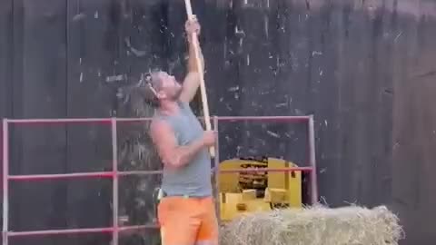 Reserves of hay