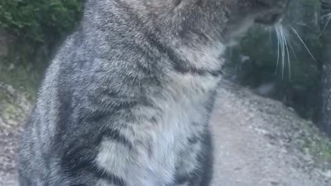 Momma loves milk
