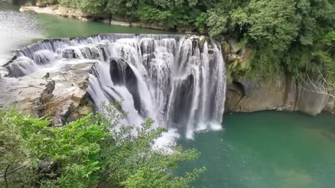Beautiful nature video.