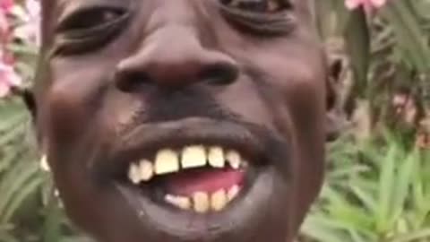 Kis Fanny video