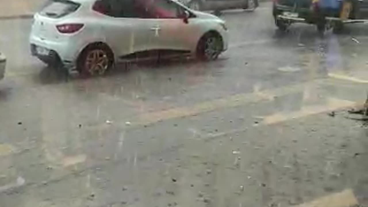 People Give a Pigeon Shelter From the Storm