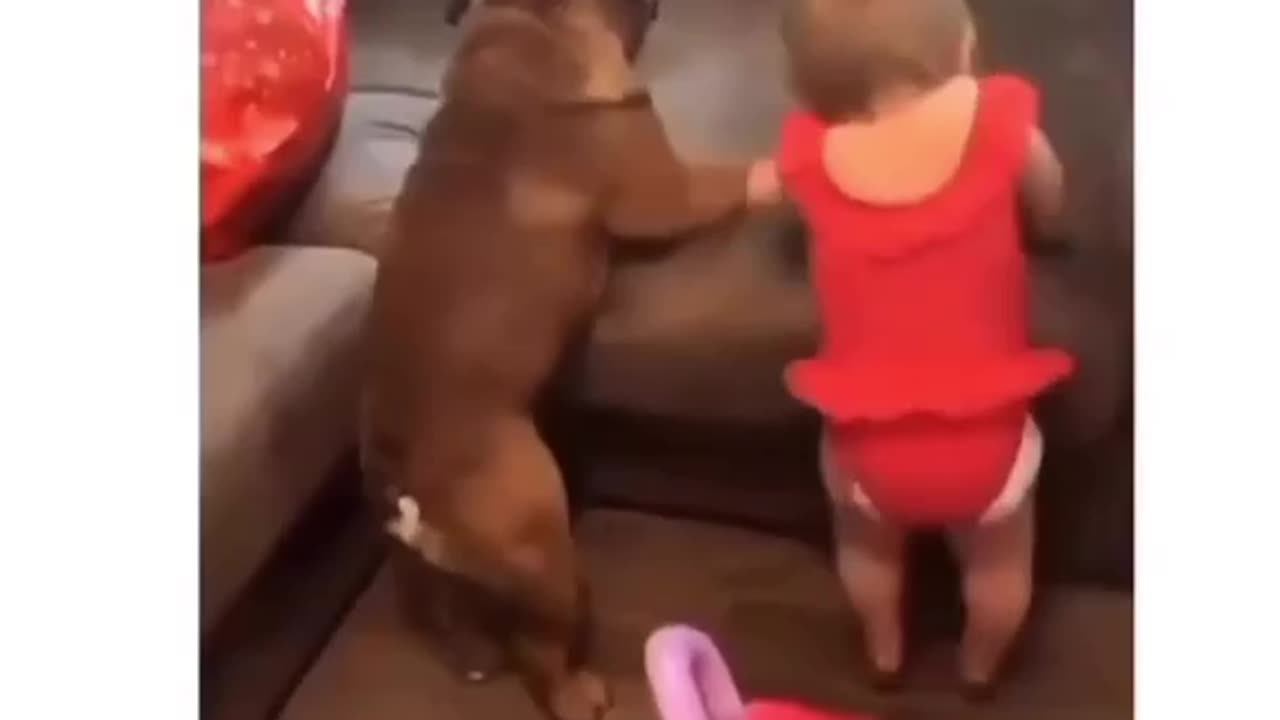 Baby's helping nature with animals ✨😍