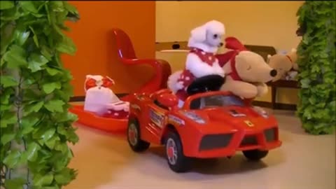 # Cute Dog School Training # Cute dog # Funny dog # #shorts