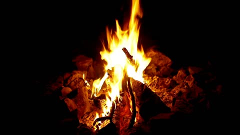 bonfire | recreation and entertainment relax video