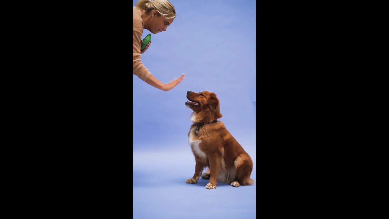 What is the most common dog behavior?