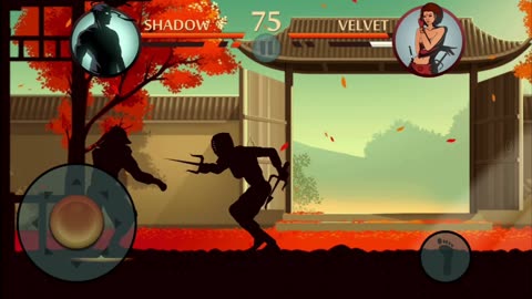 Shadow fight 2