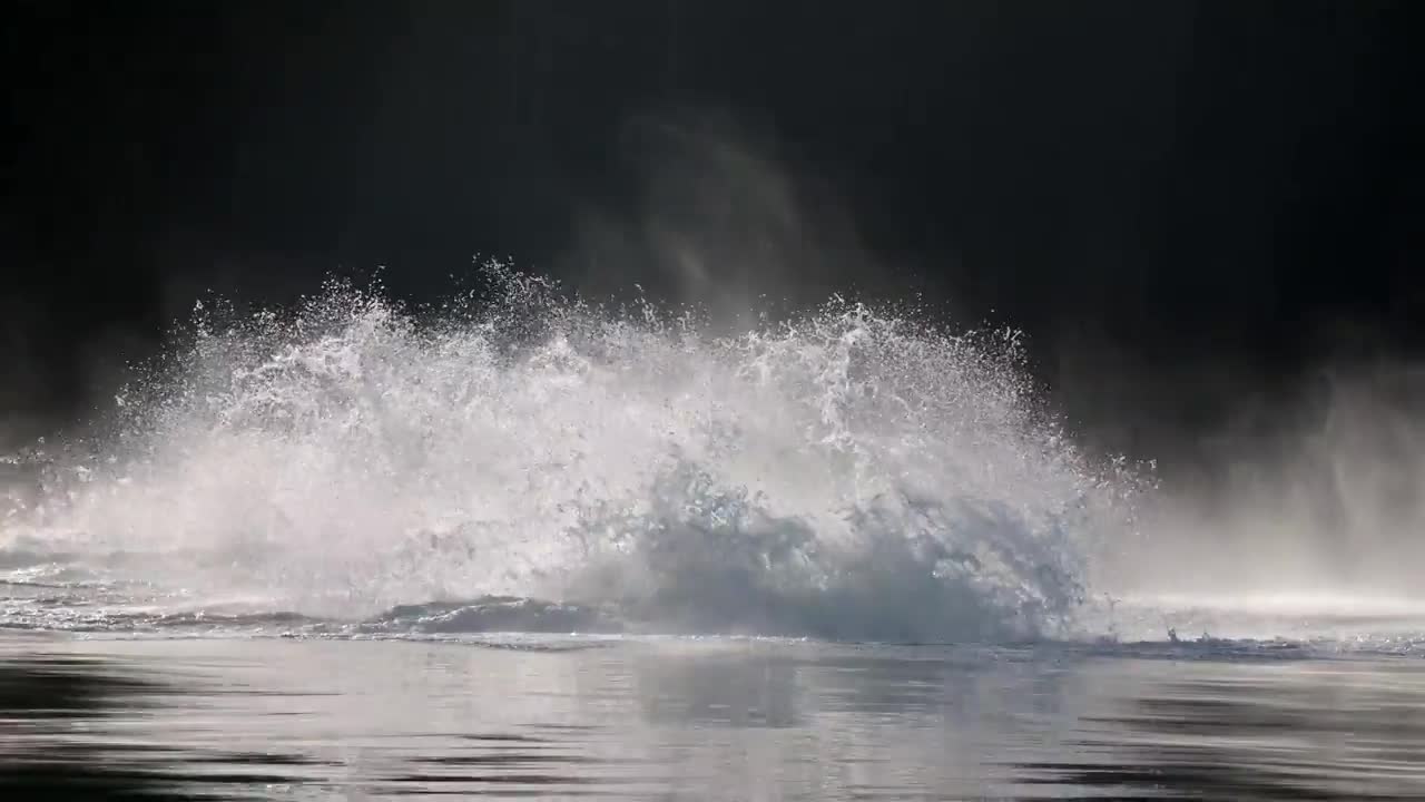 Three Humpback Whales Simultaneously Jump Out of the Water as People Watch