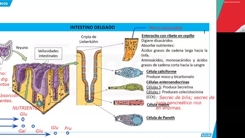 REPASO ADUNI 2024 | Semana 07 | Biología