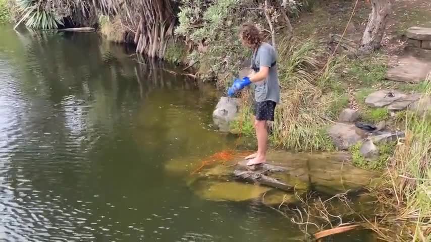 MOST $ INSANE $ Magnet $ Fishing JACKPOT EVER! This Spot is UNBELIEVABLE!