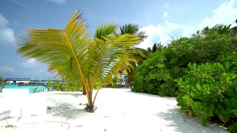 Maldives 16
