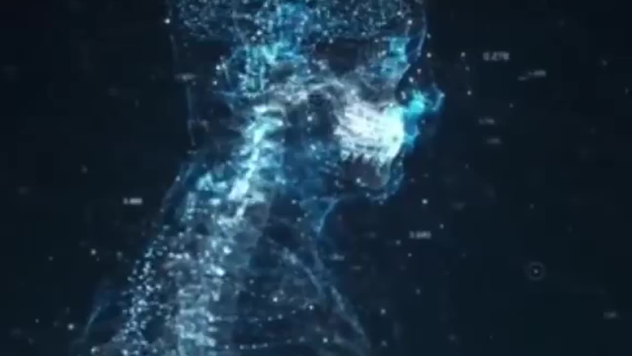 Is Our Body a Virtual Reality Machine? Speaker: Bruce