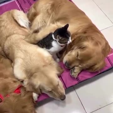 We’re not crying you’re crying 🥹❤️