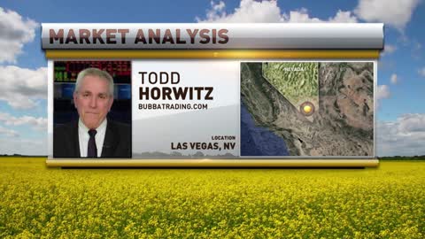 Markets Running Around in Circles, Livestock Looks Weak