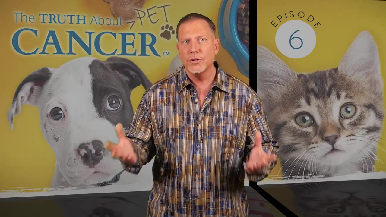 pet cancer 6