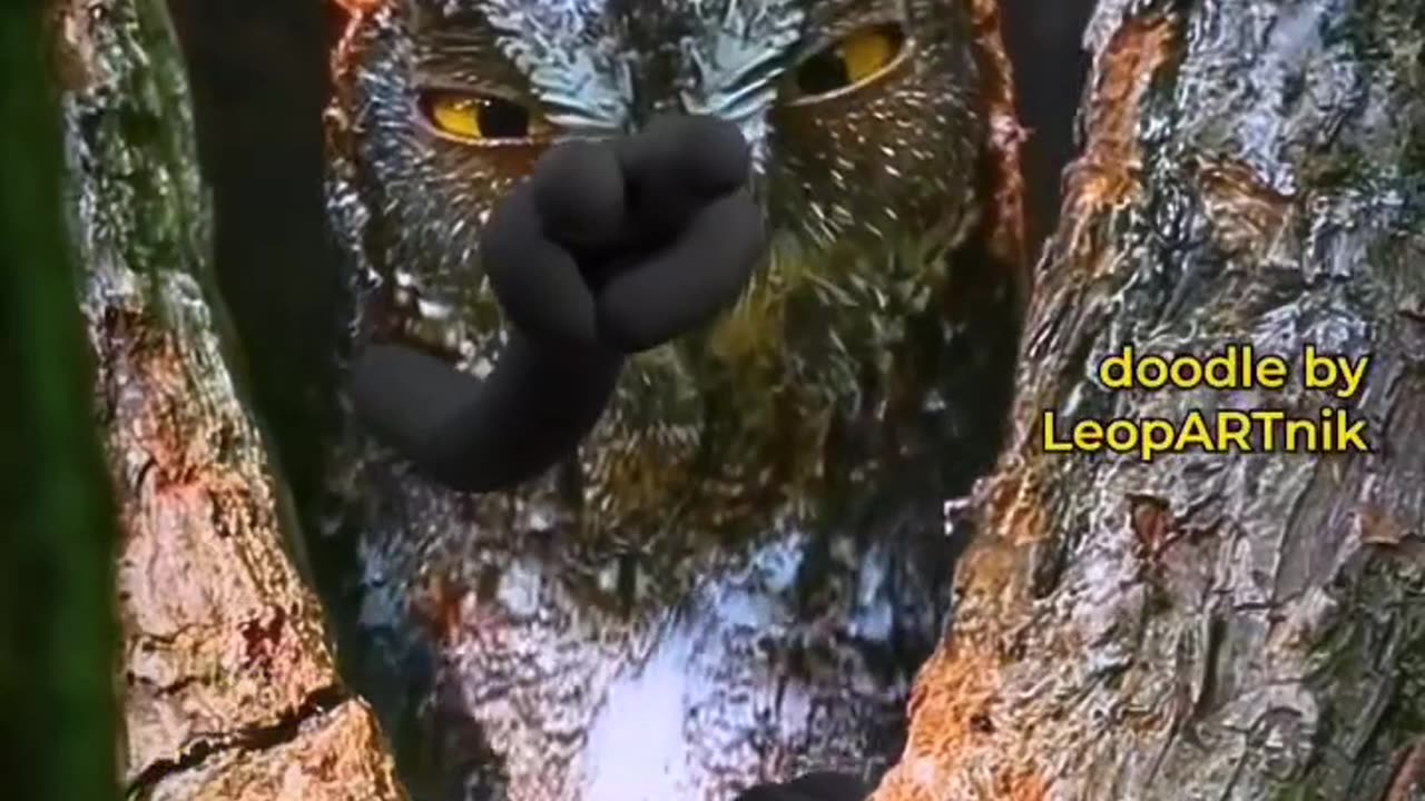 Owl is Hero