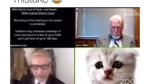 Lawyer filter as a cat in front of judge on Zoom